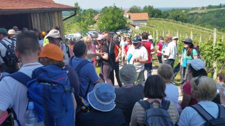 11. tradicionalni pohod Pomlad v prleških goricah – Dan odprtih kleti in veselih ljudi 26